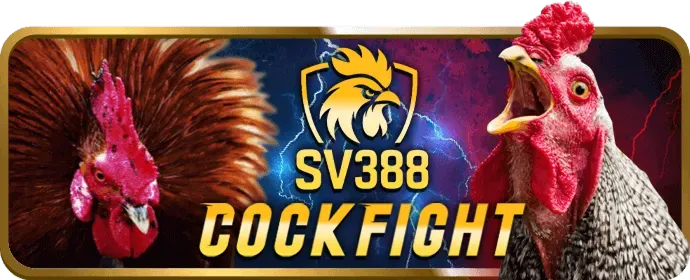 Trải nghiệm giải trí đỉnh cao bj388 win